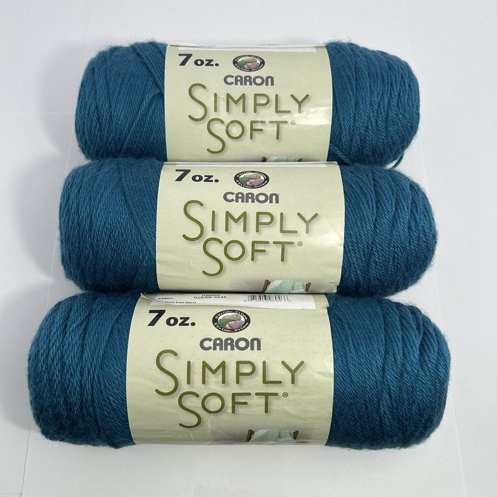 Lot of 3 Caron Simply Soft Ocean 9946 Yarn 7oz Skeins Matching Dates 2010
